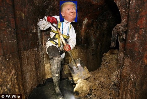 digging-up-dirt